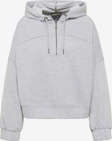 DreiMaster Vintage Sweatshirt in Grey: front