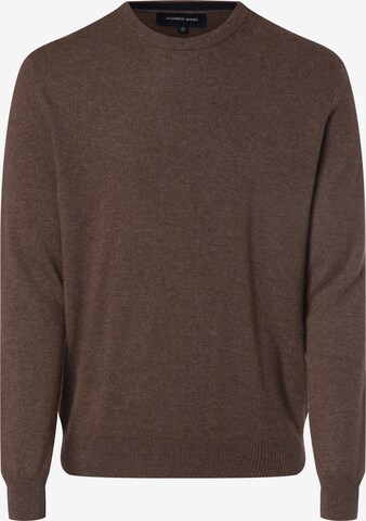 Pull-over Andrew James en marron : devant