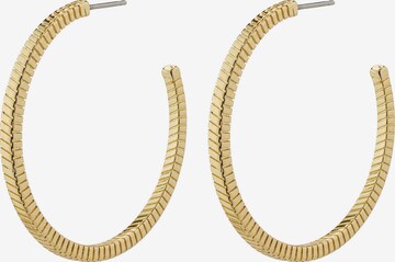Pilgrim Earrings ' Lidia ' in Gold: front