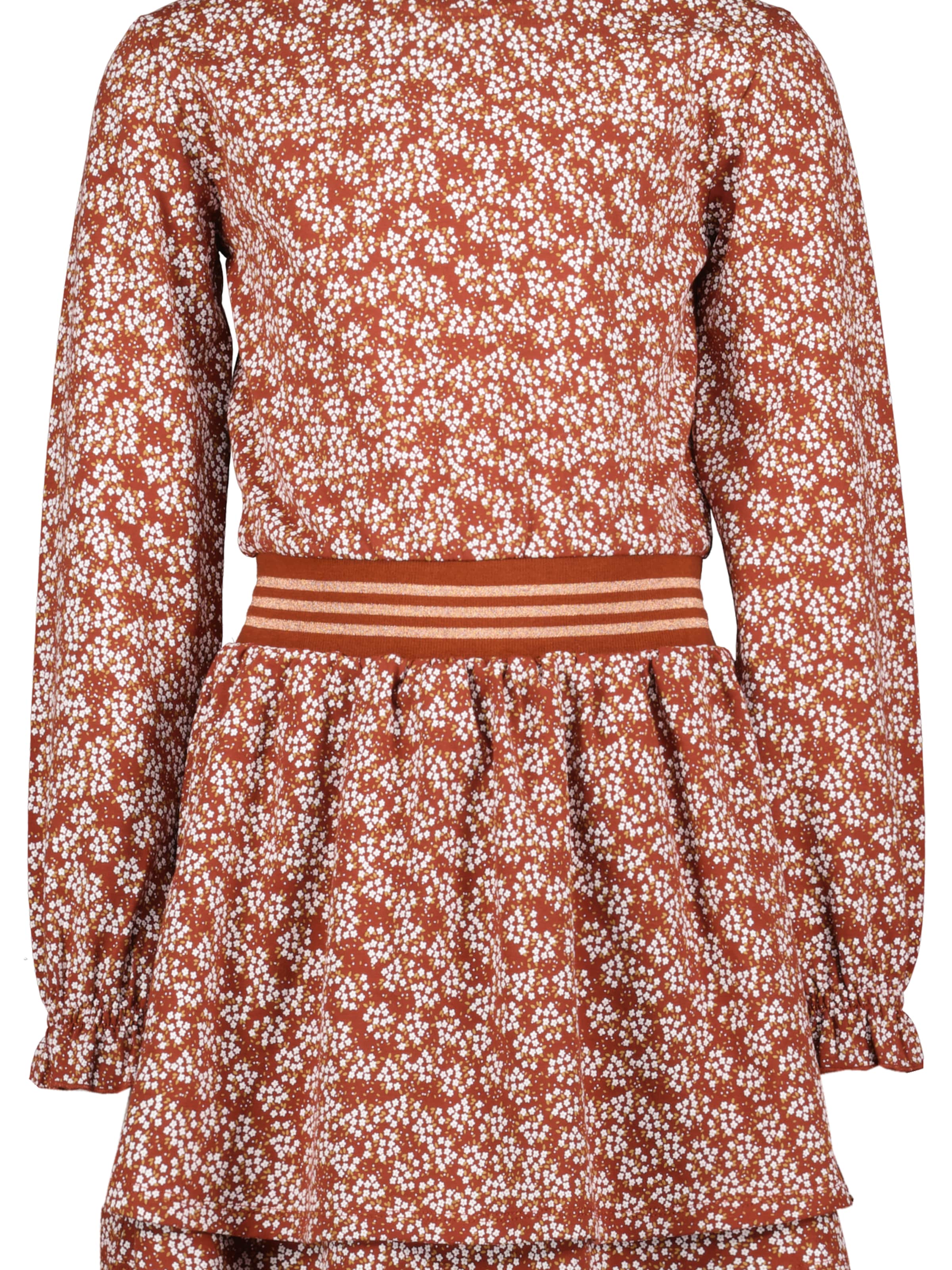 4PRESIDENT Kleid 'Izzie'‌‌‌ in Braun: Vorderseite