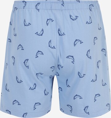 SCHIESSER Boxershorts in Blauw