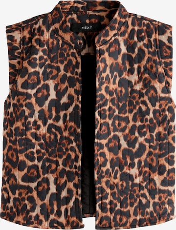 Next Bodywarmer in Bruin: voorkant