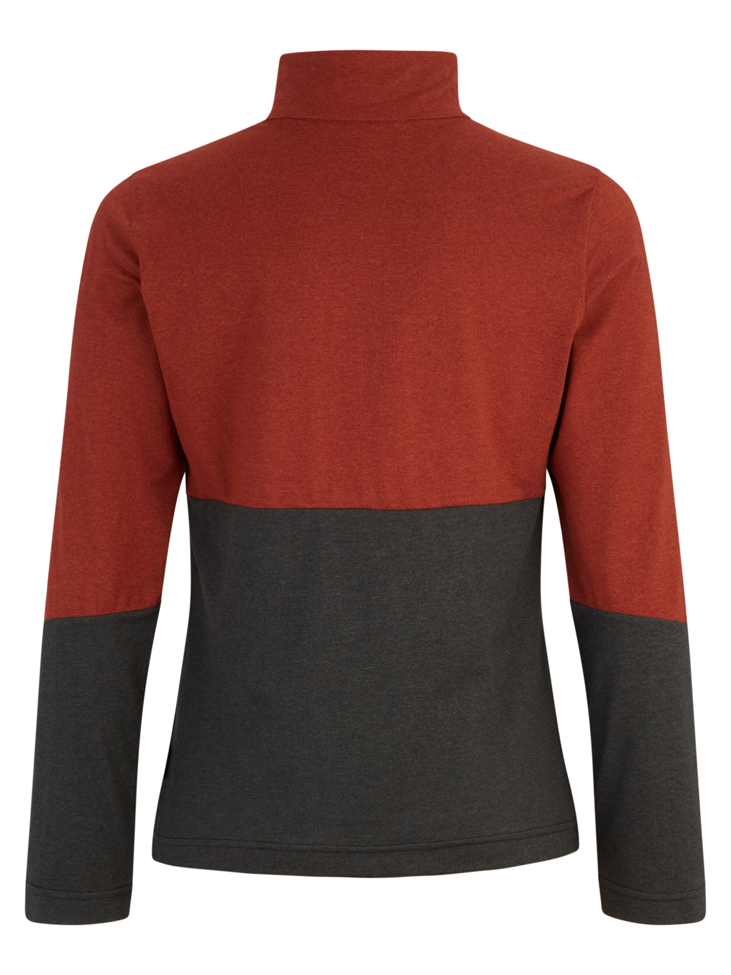 ZIENER Performance Shirt 'Jarps' in Brown