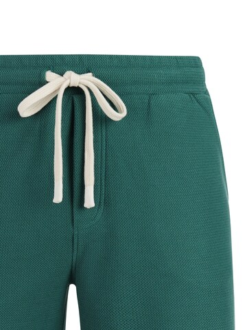 PROTEST Regular Trousers 'PRTGraig' in Green