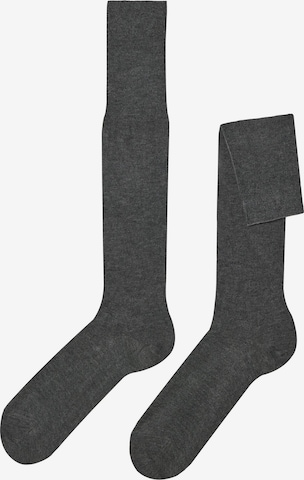 CALZEDONIA Socks in Grey: front