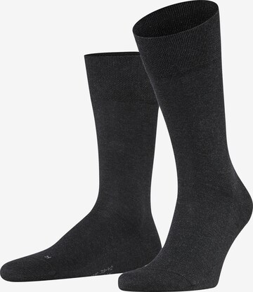 FALKE Socken 'Sensitive London' in Grau: Vorderseite