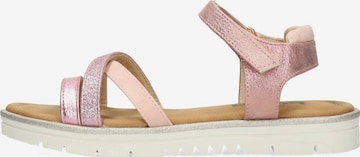 Sandales 'ASHLEY' POSH by Poelman en rose : devant