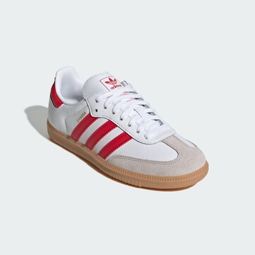 ADIDAS ORIGINALS Sneakers 'Samba' in Wit