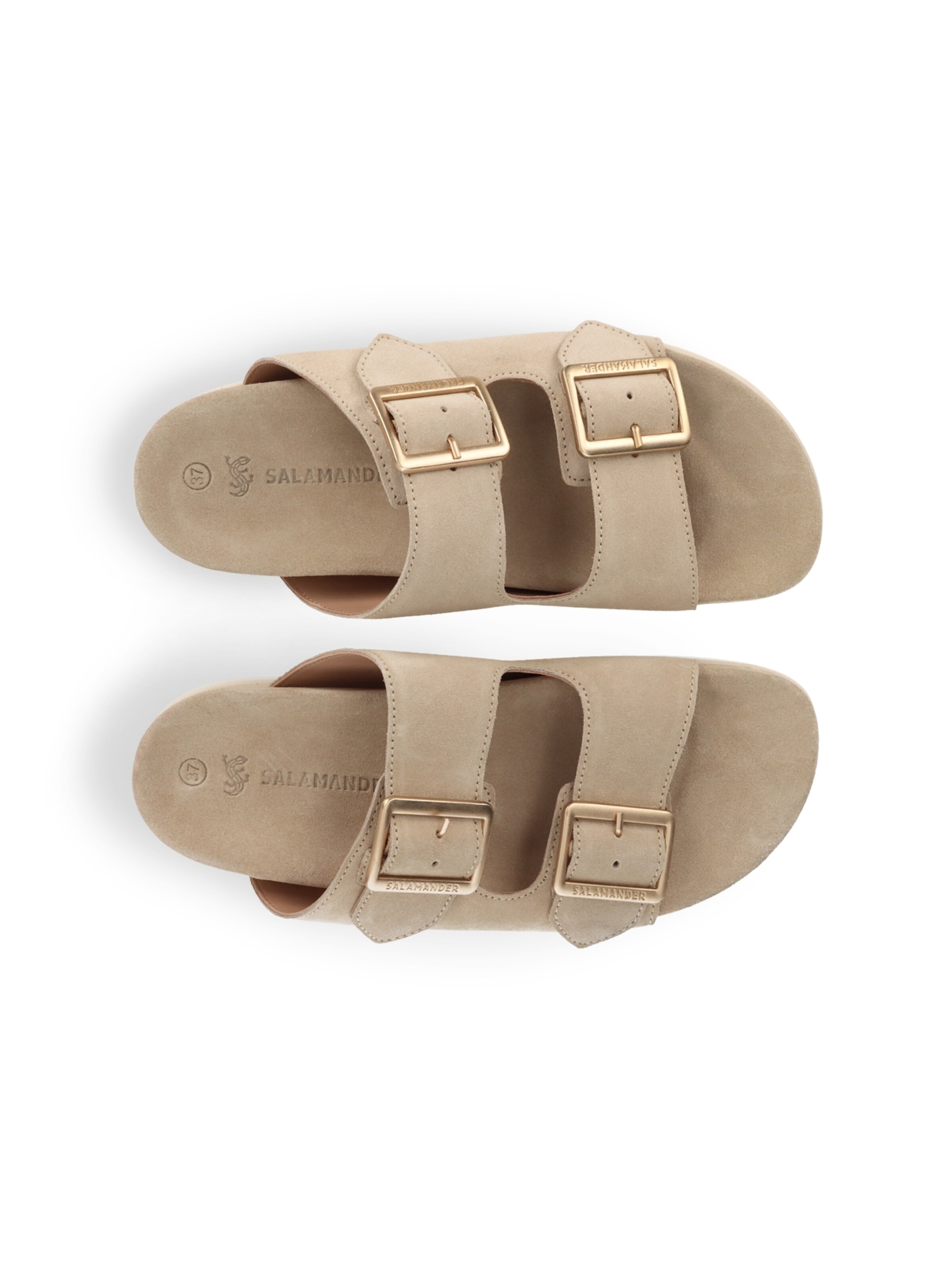 SALAMANDER Šľapky - Béžová