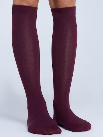 Albero Natur Knee High Socks in Red
