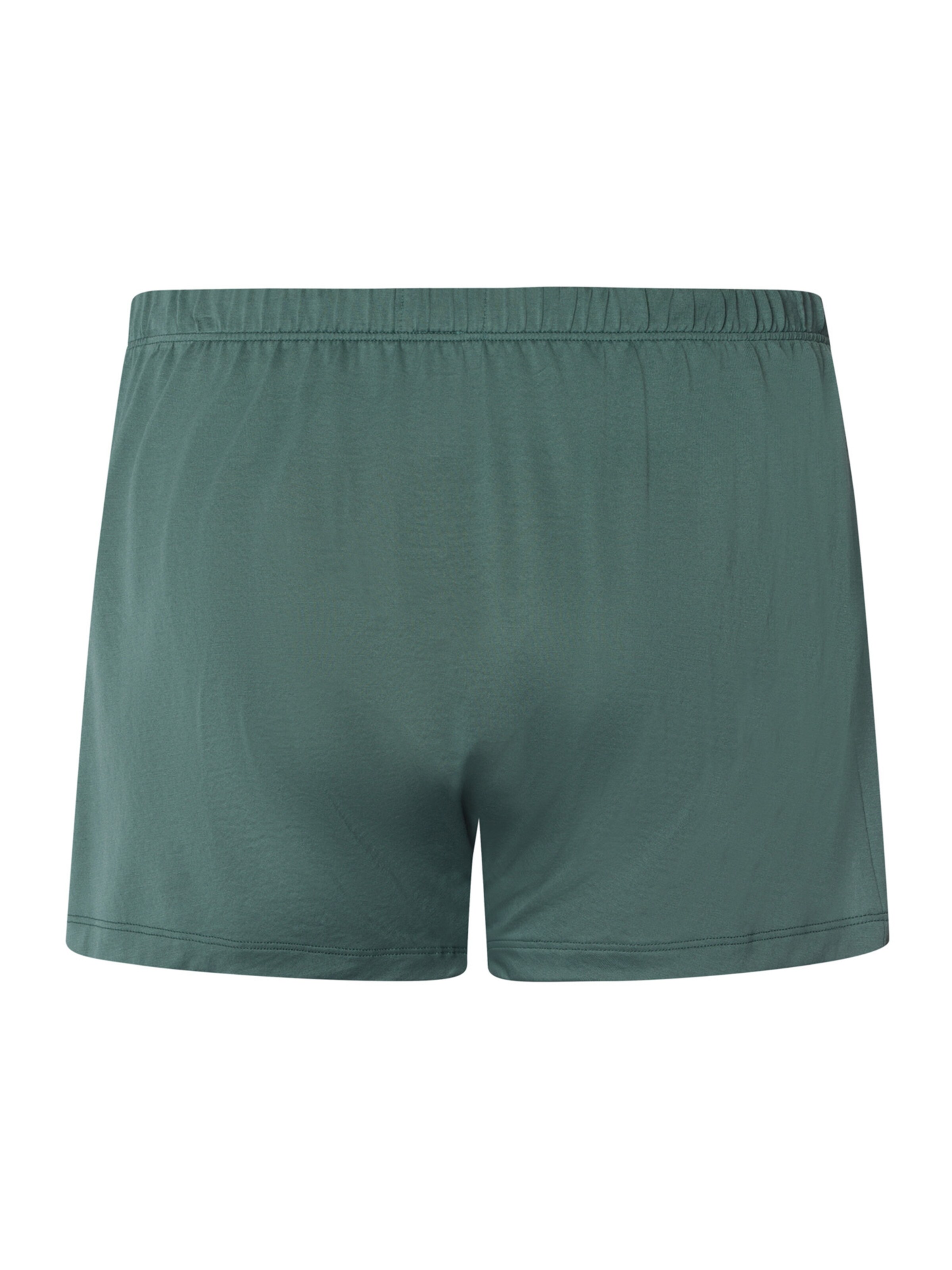 Hanro Boxer shorts ' Cotton Sporty ' in Green