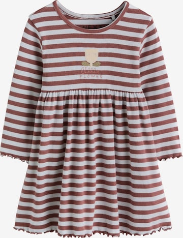 Next Kleid in Braun: Vorderseite