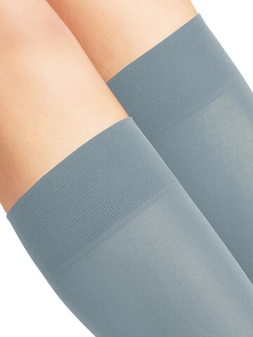 FALKE Overknee Strümpfe 'Pure Matt'‌‌‌‌‌‌‌‌‌‌ in Blau