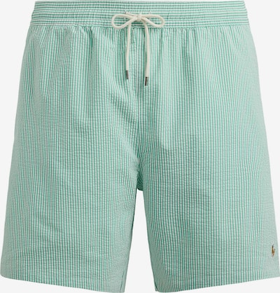 Polo Ralph Lauren Big & Tall Hlače u svijetlozelena / bijela, Pregled proizvoda