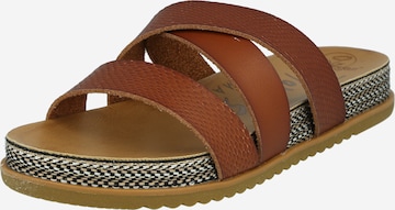 Blowfish Malibu Mules in Brown: front