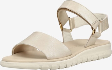 Sandales Paul Green en beige : devant