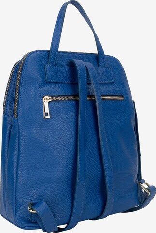 Usha Backpack in Blue