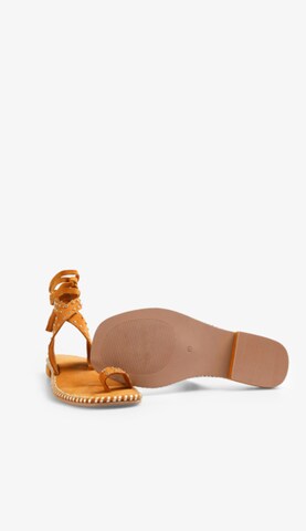 Scalpers Sandal 'Roma Studs' i brun