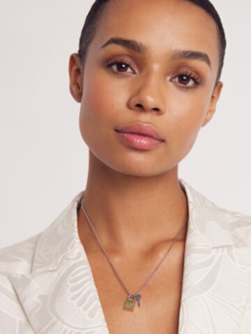 Ted Baker Ketting 'Tedla' in Zilver: voorkant