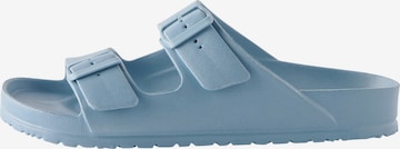 Next Mule in Blue: front