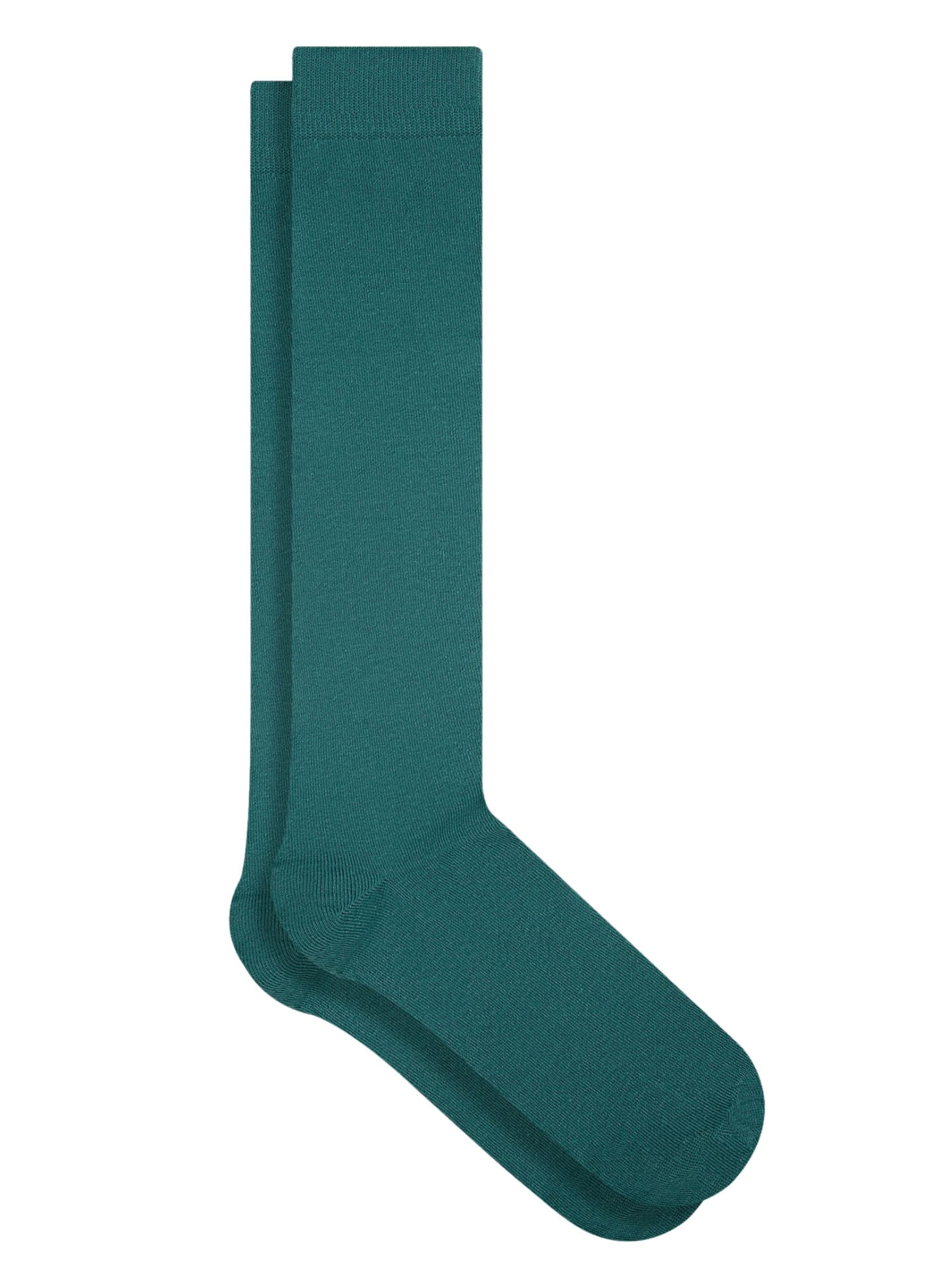 Albero Natur Knee High Socks in Green: front
