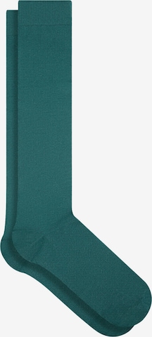 Albero Natur Knee High Socks in Green: front