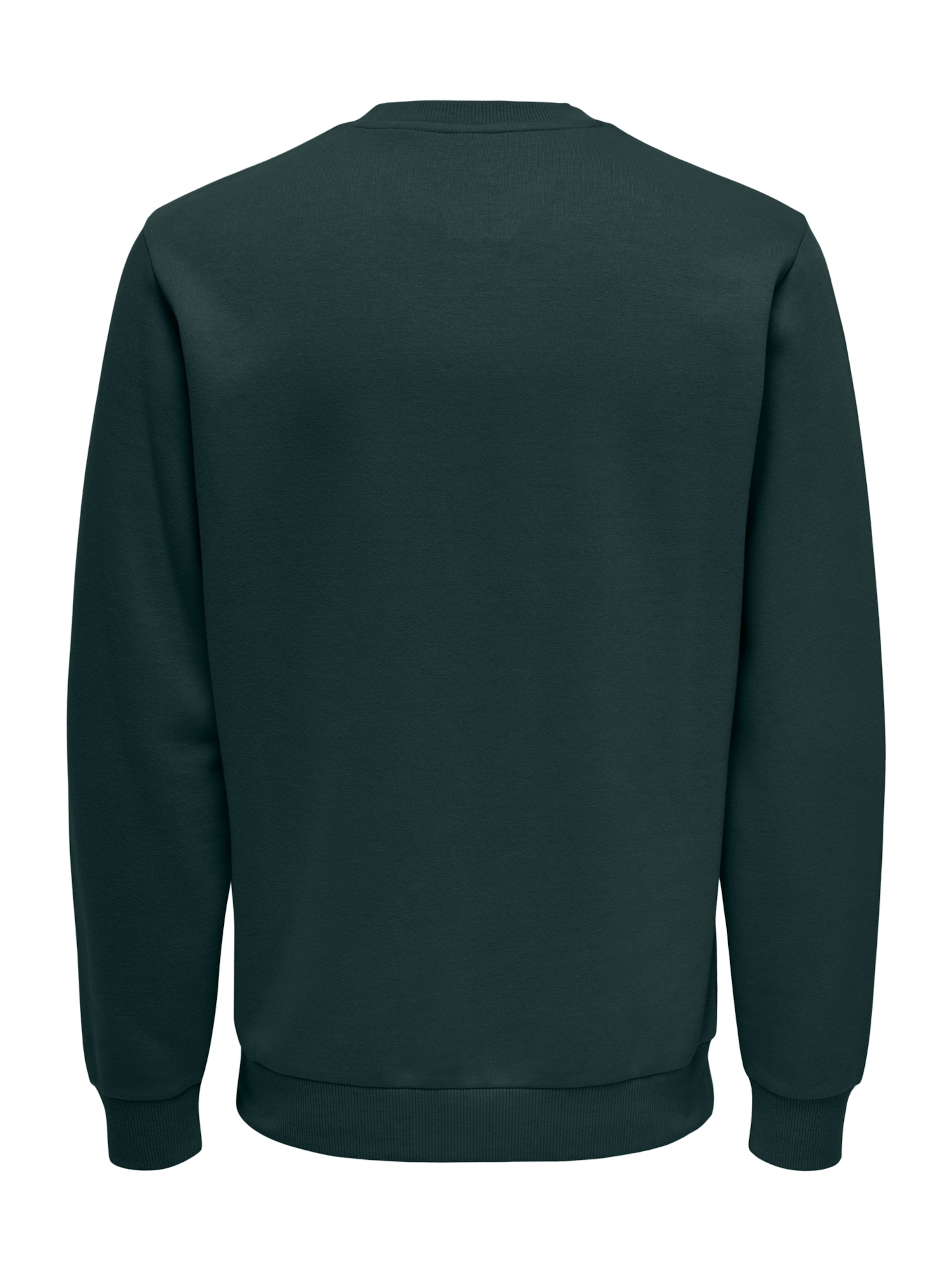 Only & Sons Regular fit Sweatshirt 'ONSCERES' in Green
