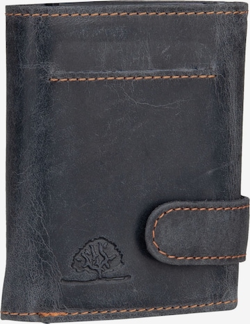 Étui GREENBURRY en bleu : devant