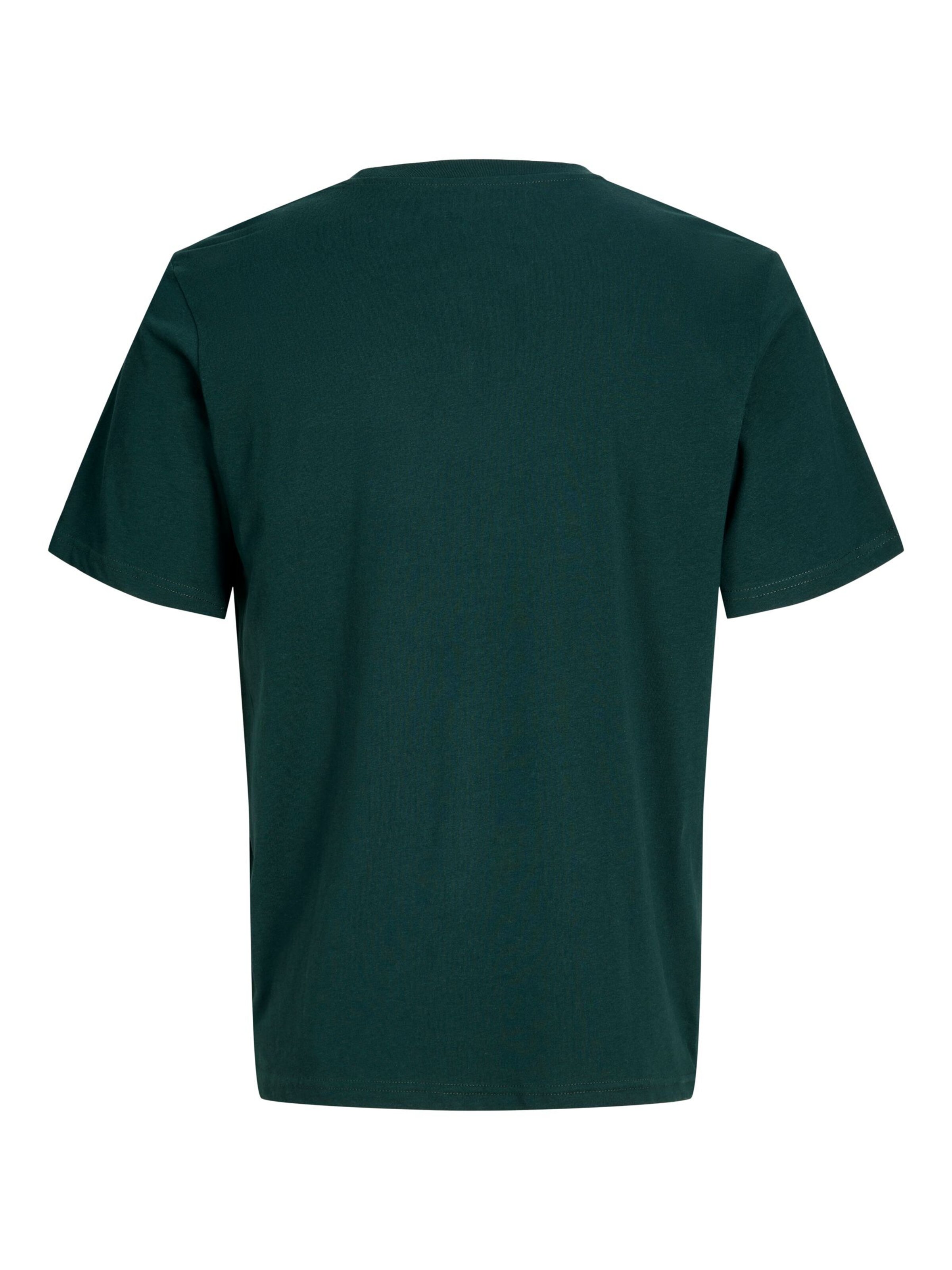 JACK & JONES Shirt in Groen
