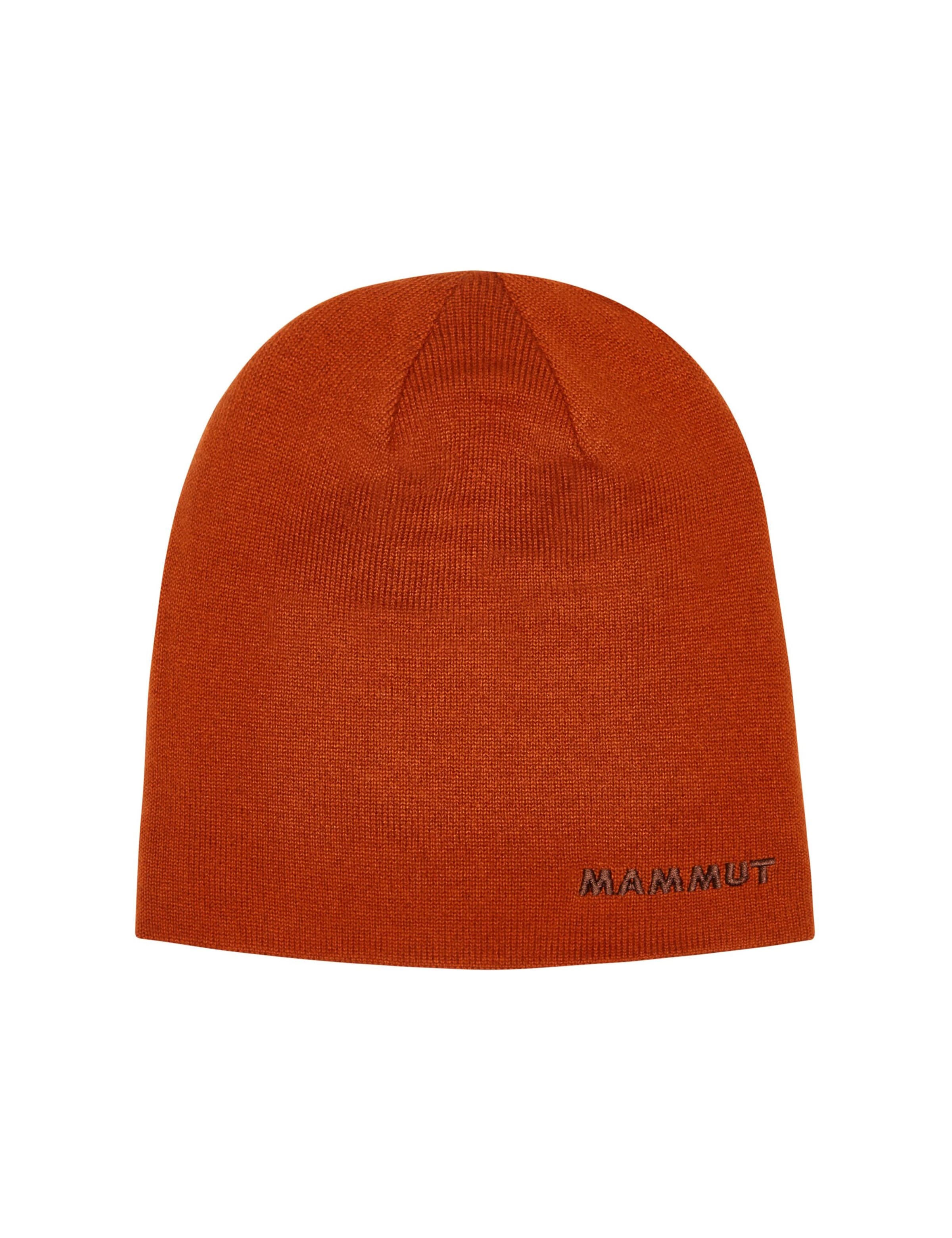 MAMMUT Athletic Hat in Brown