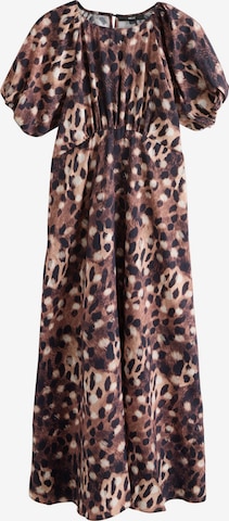 Next Kleid in Braun: Vorderseite