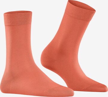 FALKE Socken in Orange