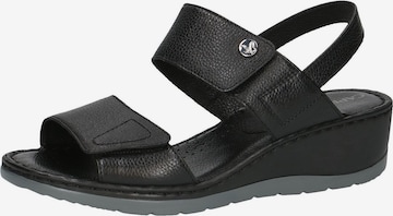 CAPRICE Sandals in Black: front