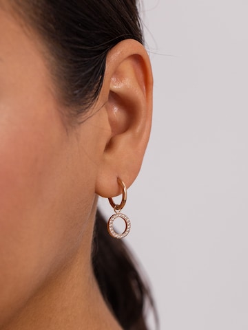 PURELEI Earrings 'Closed Glow' in Gold