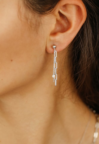 Nana Kay Earrings in Silver: front