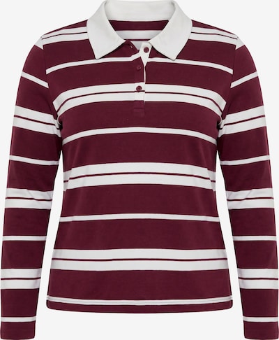 Ulla Popken Shirt in M-L in weinrot / weiß, Produktansicht