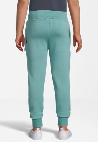 New Life Tapered Pants in Blue