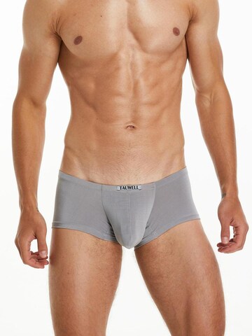 TAUWELL Boxer shorts in Grey