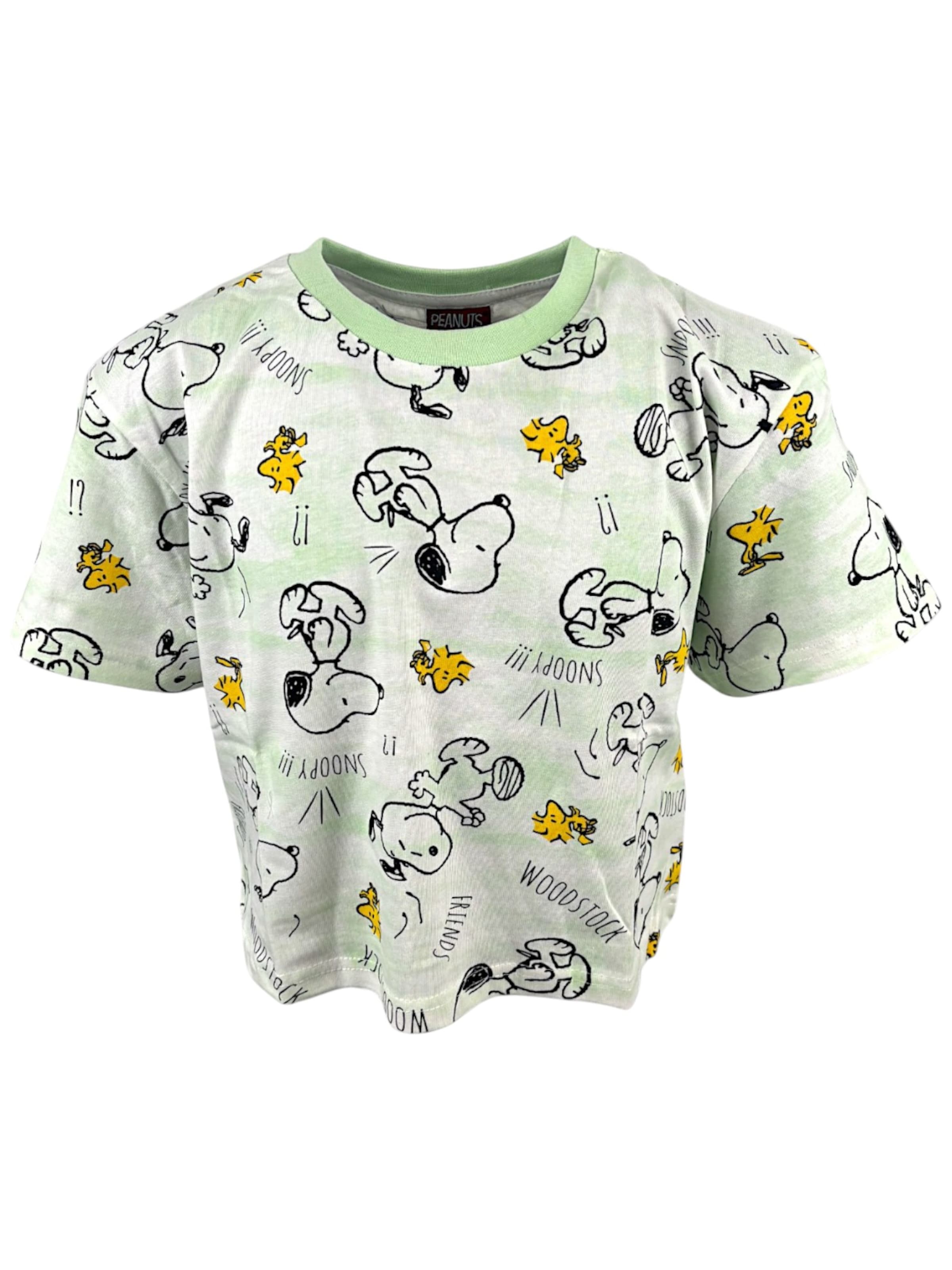 Snoopy & Die Peanuts Shirt 'Peanuts Snoopy Crop' in Grün: Vorderseite