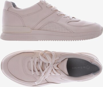 Everlane Sneakers & Trainers in 43,5 in Pink: front