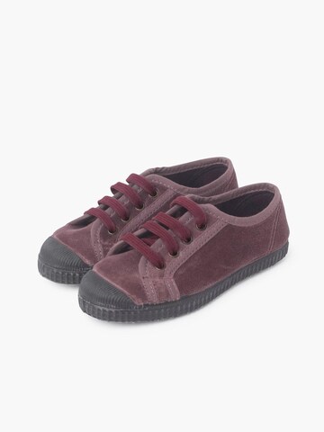 Pisamonas Sneakers in Roze
