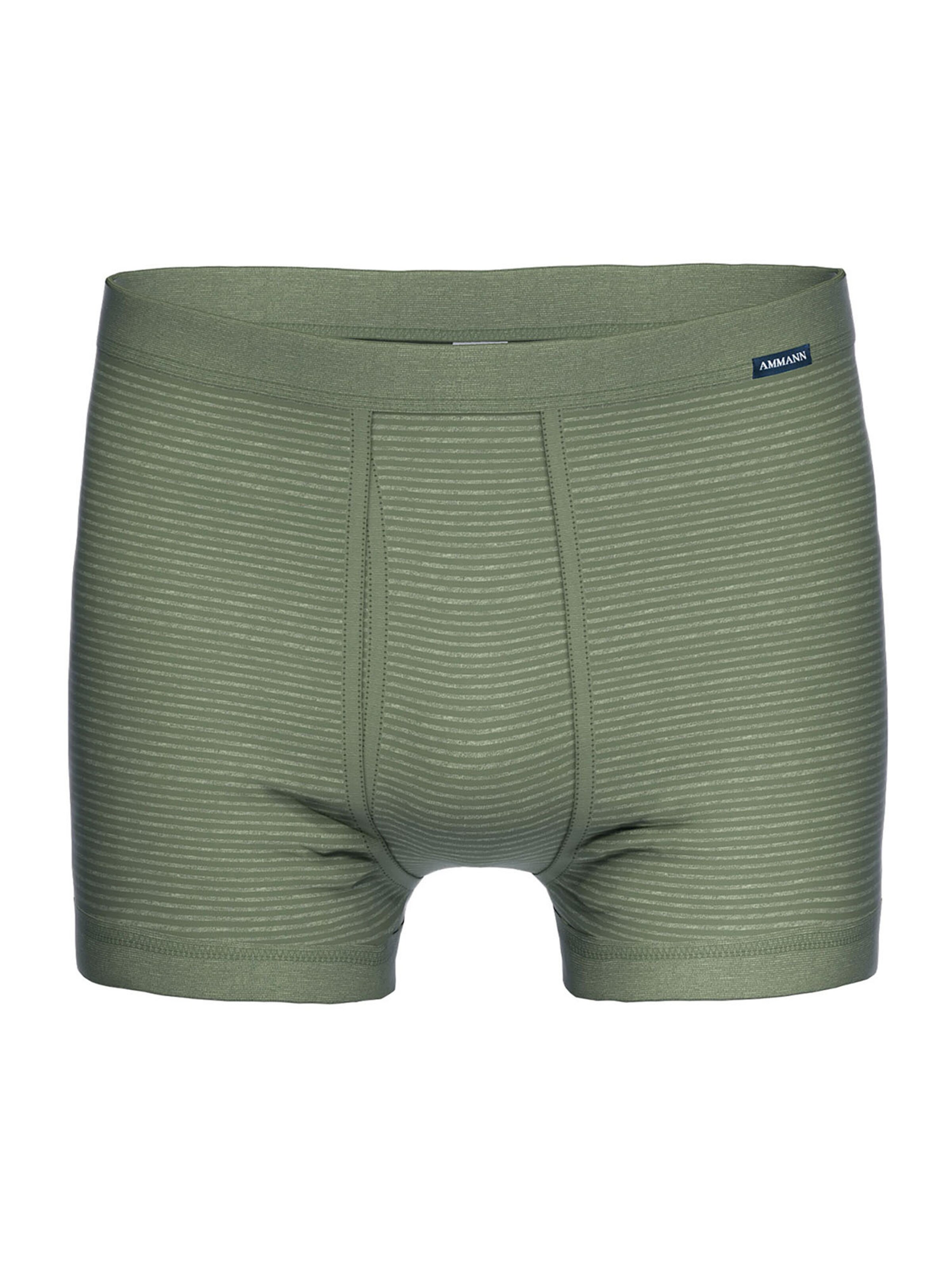 Ammann Boxer shorts 'Day Classic / Jeans Feinripp' in Green: front