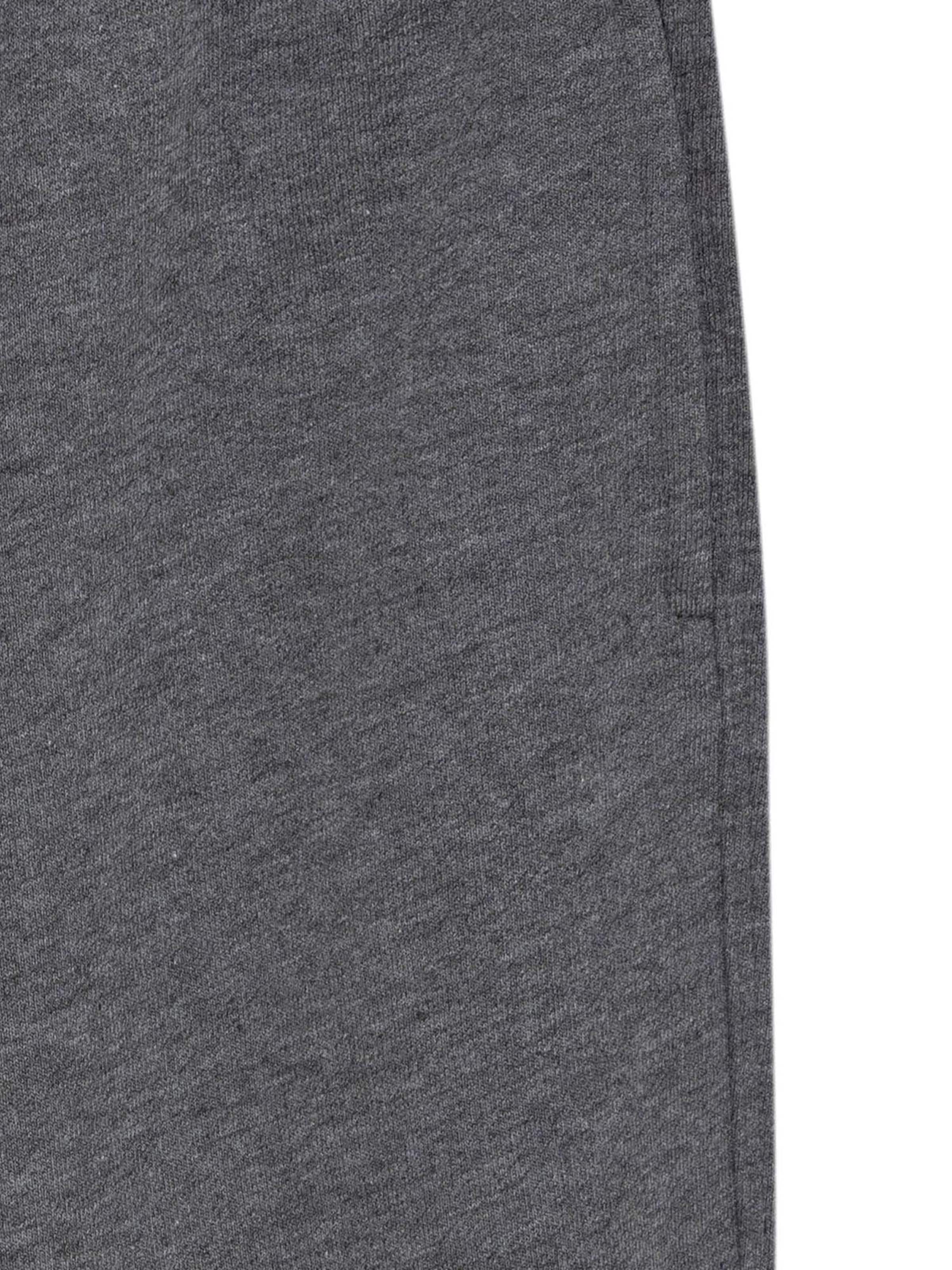 Williot Конический (Tapered) Штаны в Серый