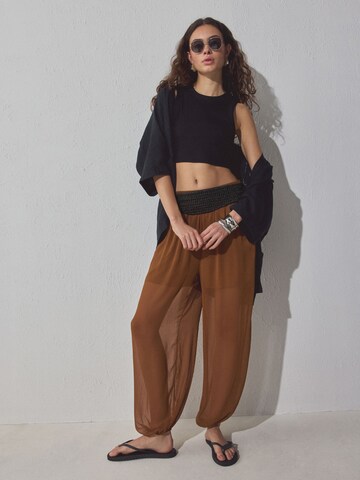 Next - Cinturón en negro