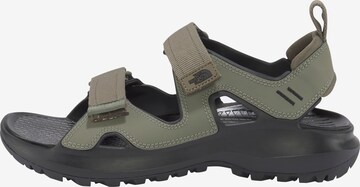 THE NORTH FACE Sandalen in Groen