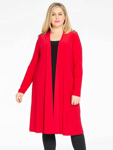 Yoek Knit Cardigan in Red: front