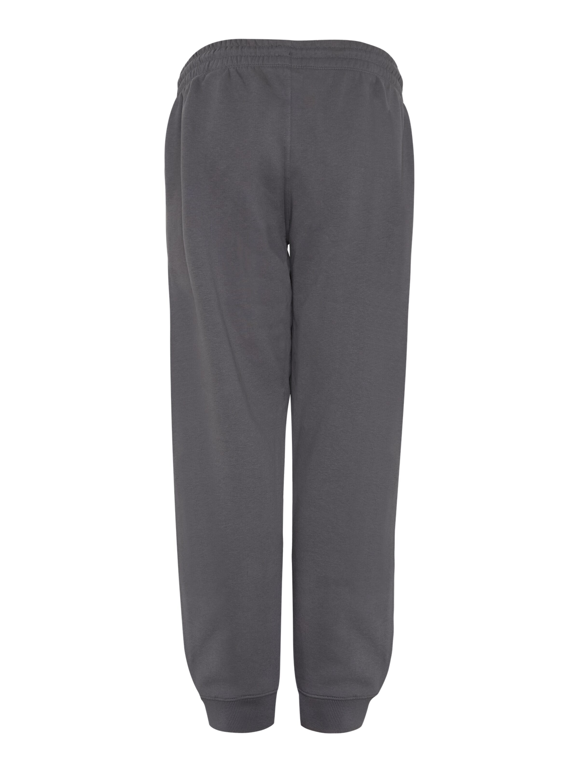 Antargo Regular Pants 'Jogginghose' in Grey