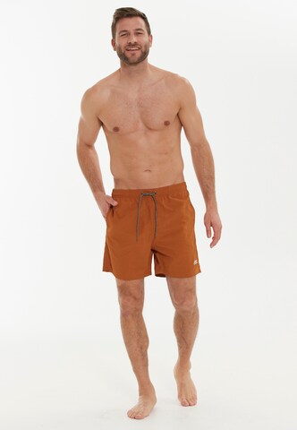 Cruz Board Shorts in Brown