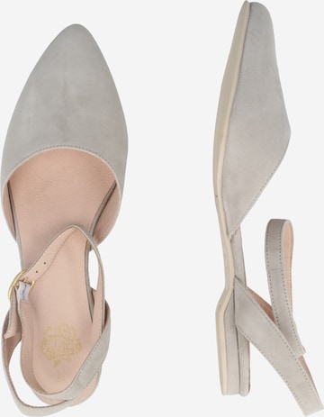 Apple of Eden Ballet Flats with Strap 'Betty 12' in Grey