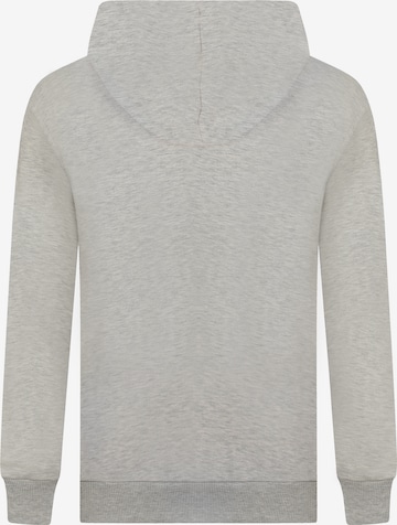 DENIM CULTURE Sweatshirt 'PEDRO' in Grau